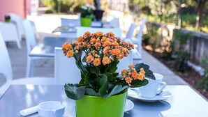 Et bord med en grøn potte med orange blomster, hvide stole og en rosa bygning i baggrunden.