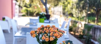 Miss Sicily B&B