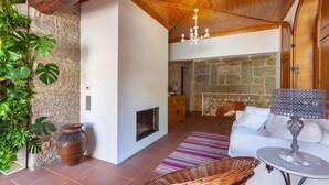 Un salon chaleureux avec une cheminée, un mur en pierre, une grande plante, des meubles en osier et un tapis à motifs.