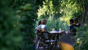 Luokittelematon kuva, 3 kautta 32, painike