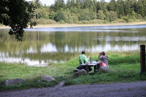 Danau