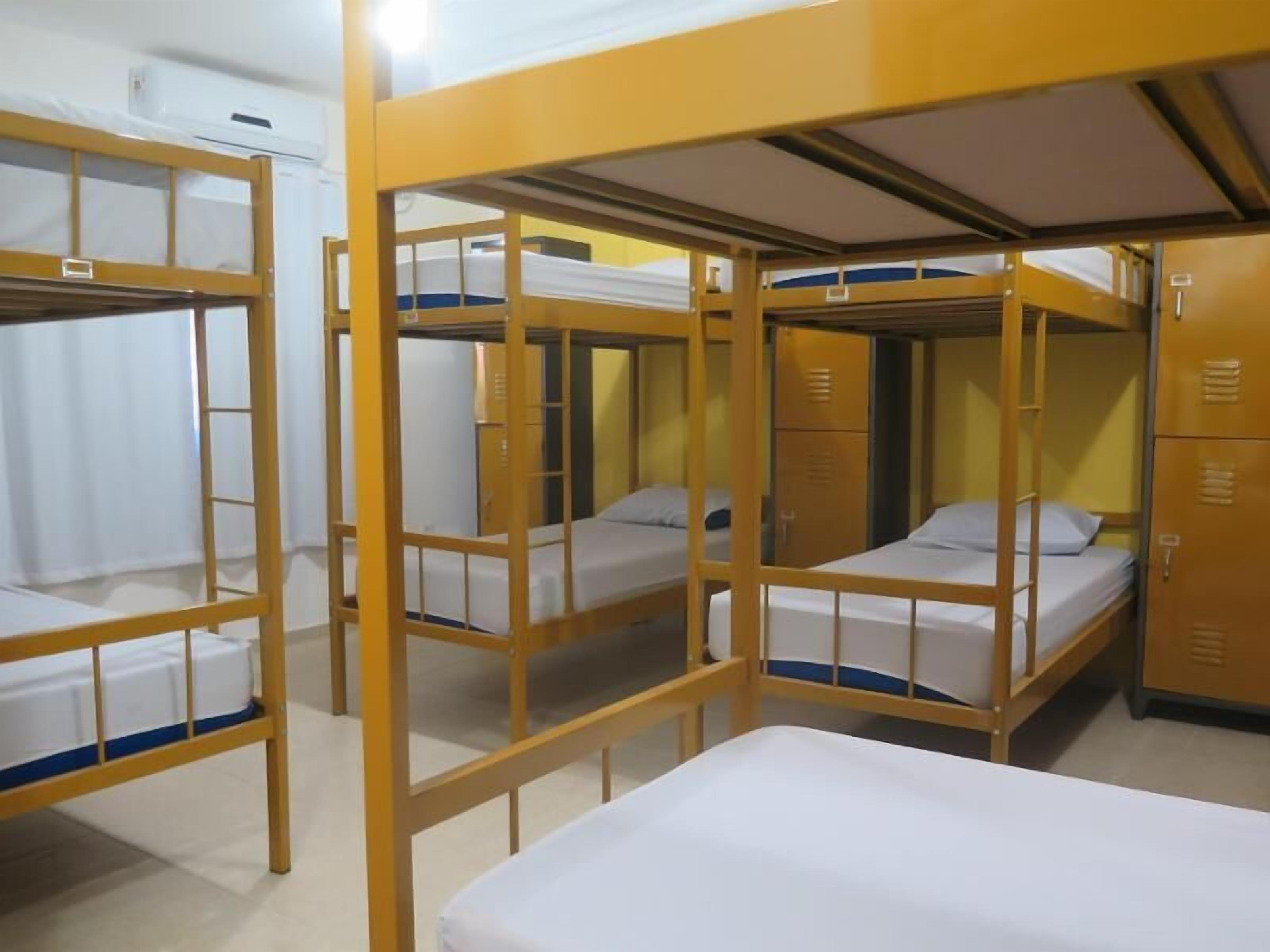 Shared Dormitory, Women only (10 beds) | Free WiFi