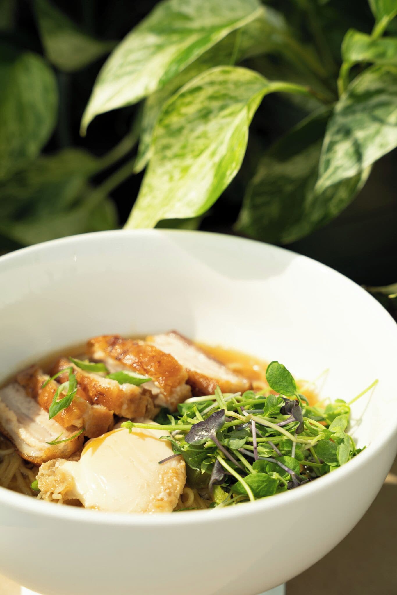 breakfast and dinner served