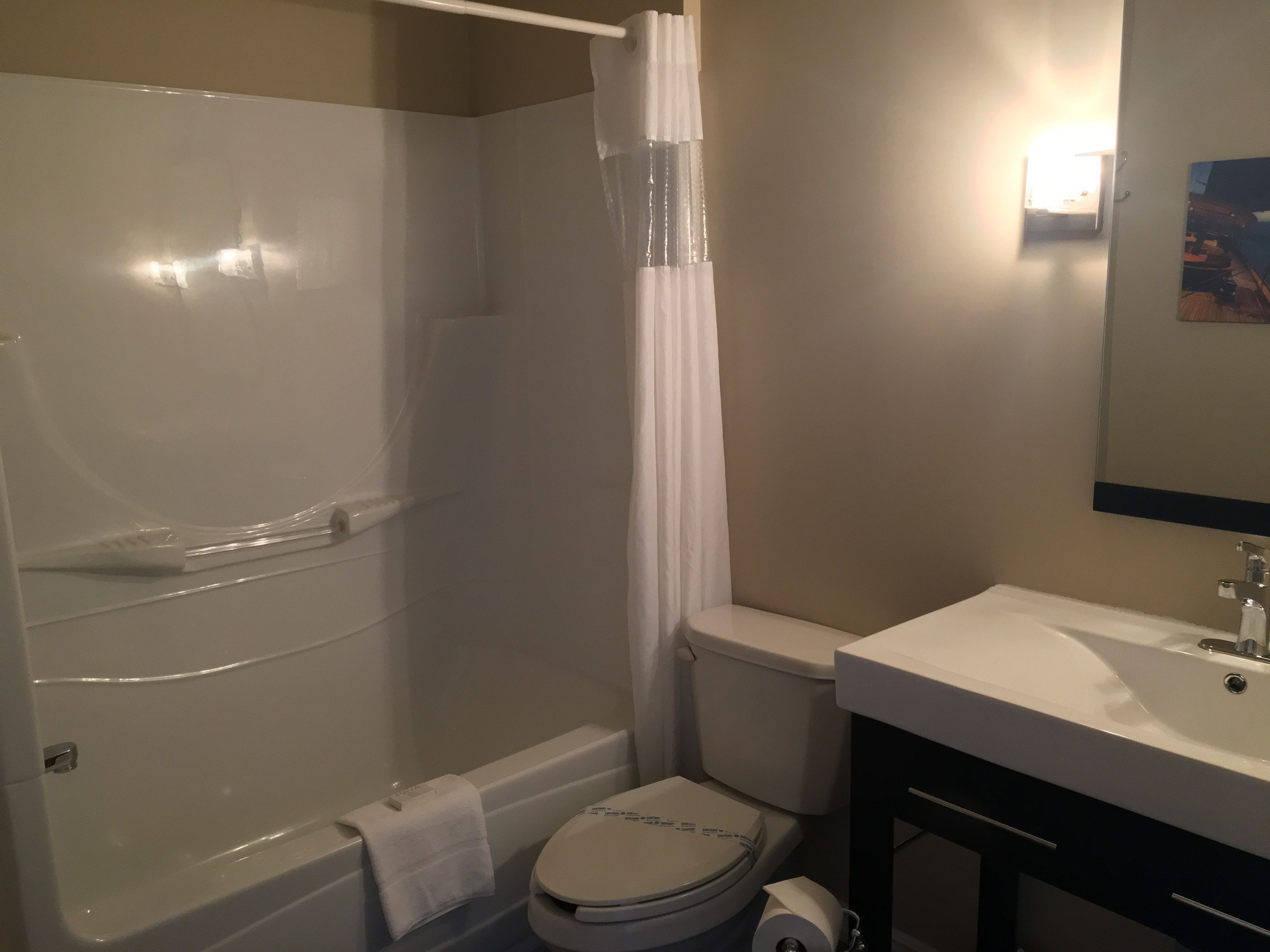 suite, 1 king bed (hotel) | bathroom | free toiletries, hair dryer, towels