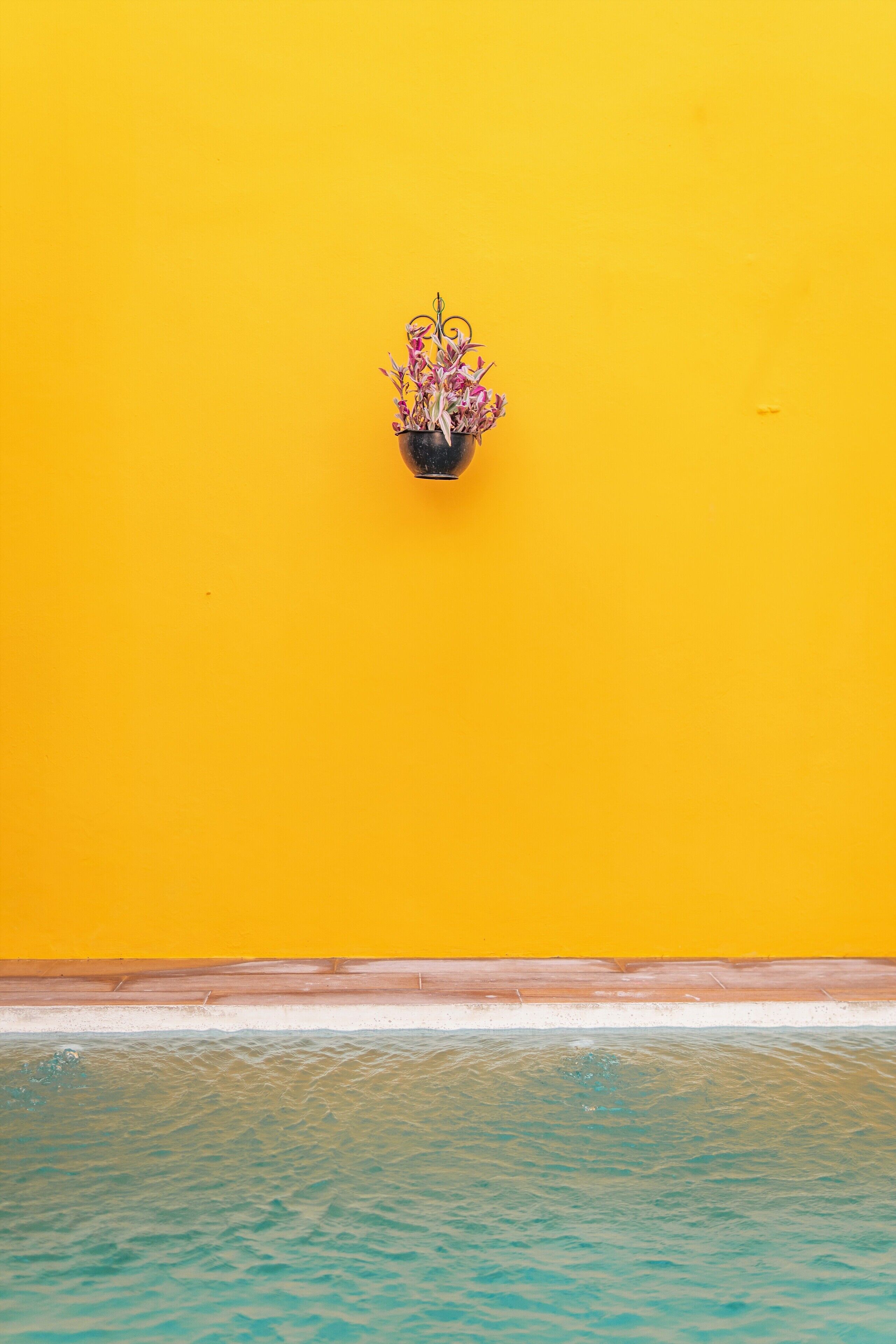 Photo - Hotel Gran Centenario