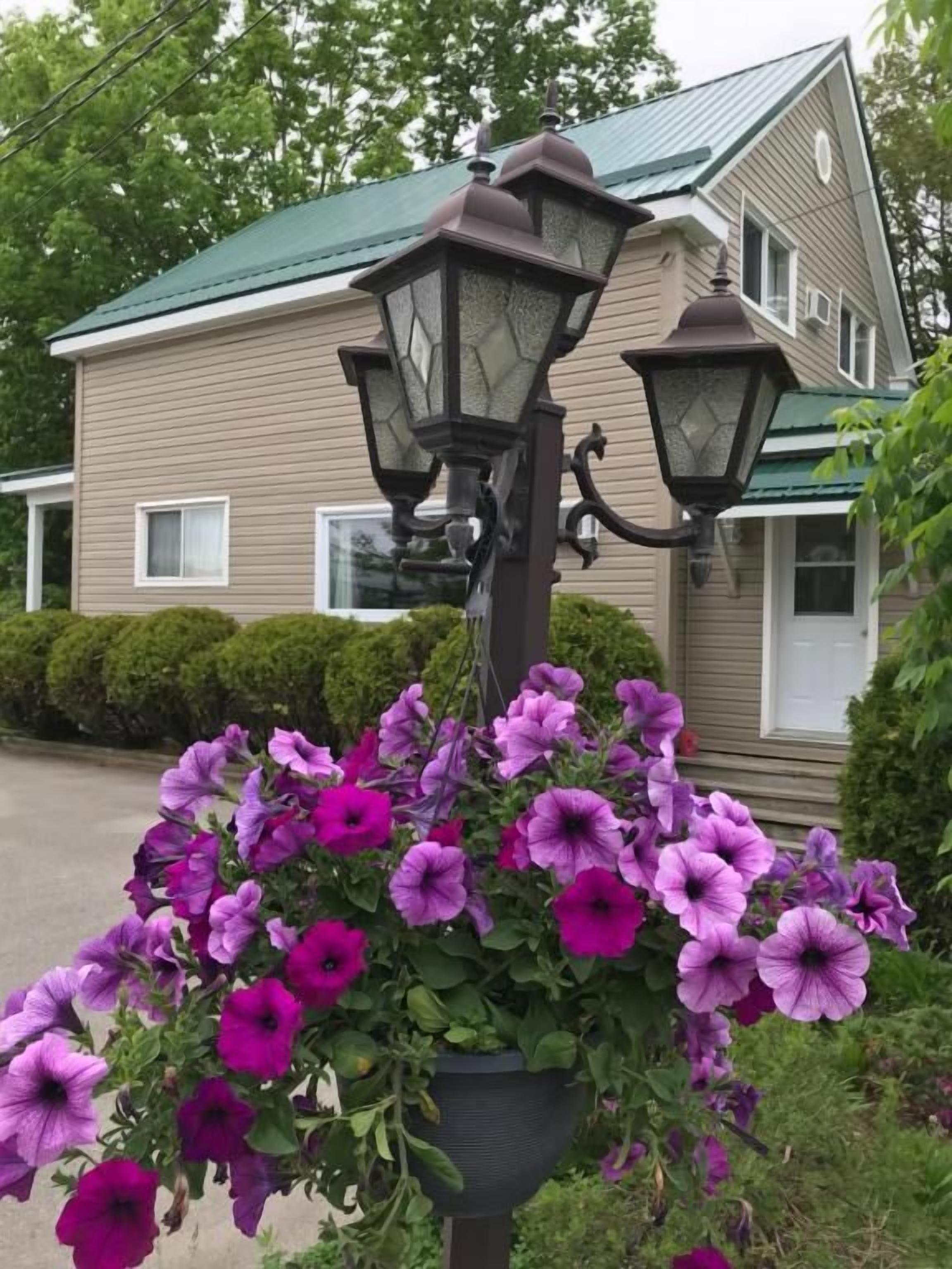 A street lamp with two lamps and a flower pot with purple flowers.