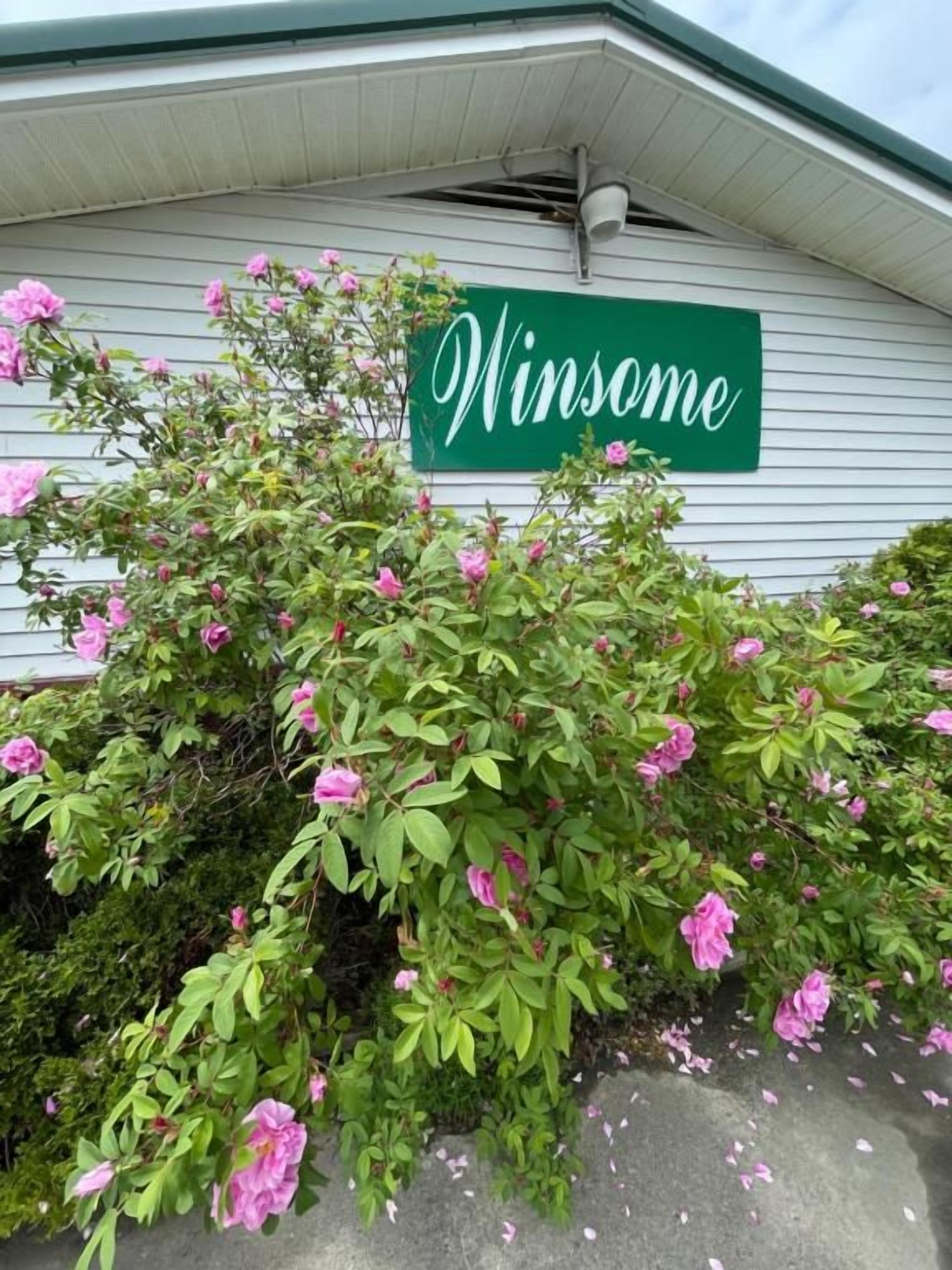 A building with a green sign that reads 'Winsome' and a bush with pink flowers in front.