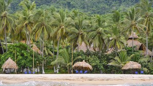 Una playa con cabañas de techo de paja y palmeras.