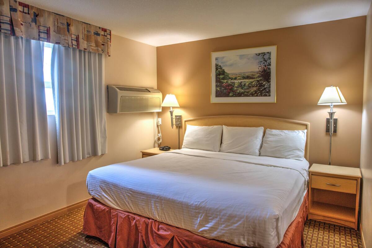 Habitación de hotel con una cama grande, dos mesitas de noche con lámparas, un equipo de aire acondicionado y un cuadro en la pared.