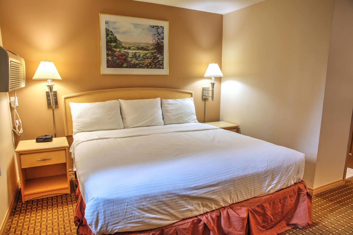 Una habitación de hotel con una cama grande, dos lámparas de noche, una mesita de noche y un cuadro en la pared.