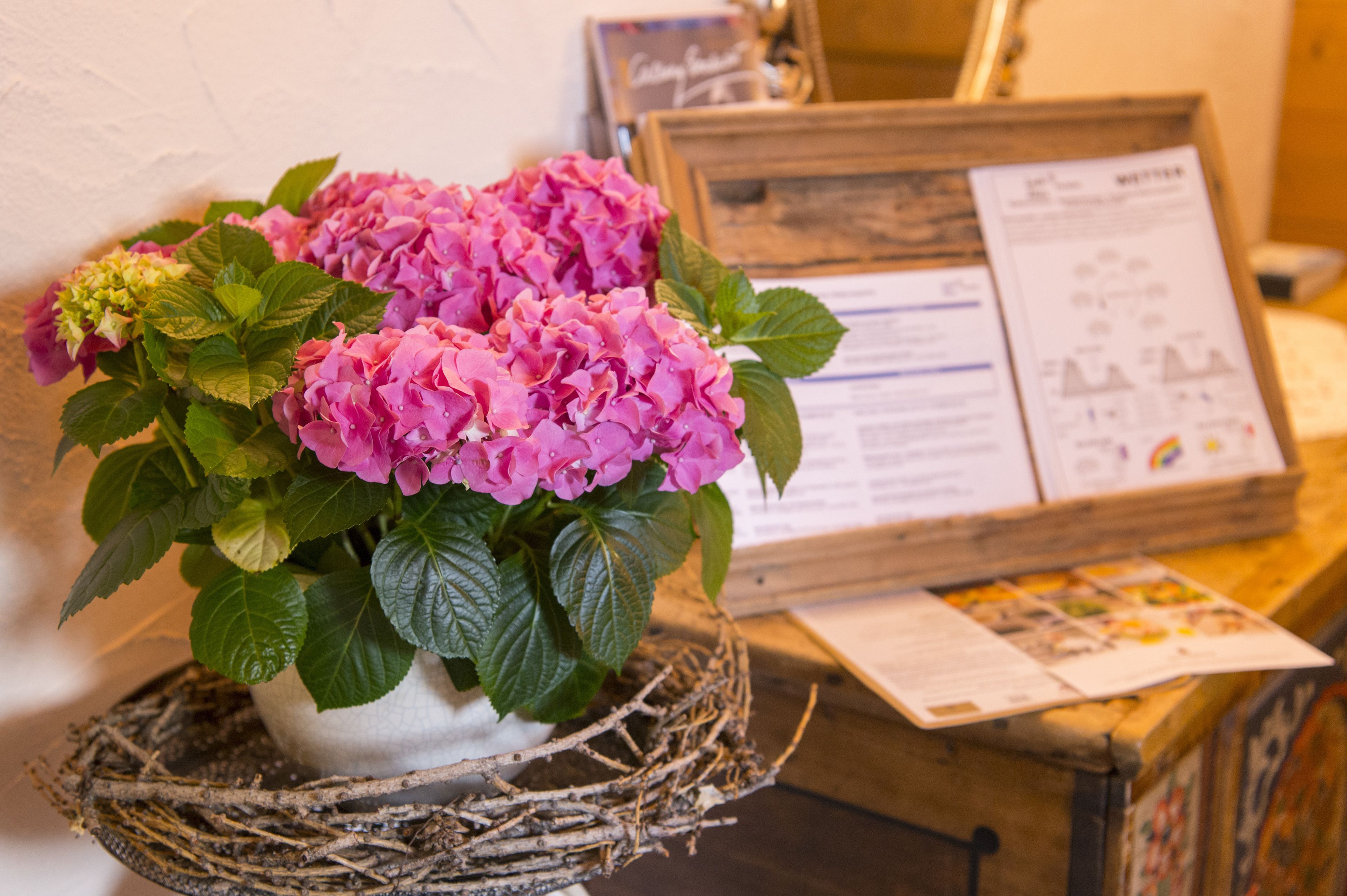 A potted hydrangea plant with a rustic nest base, a wooden signboard with text, and a framed picture on a wooden table.