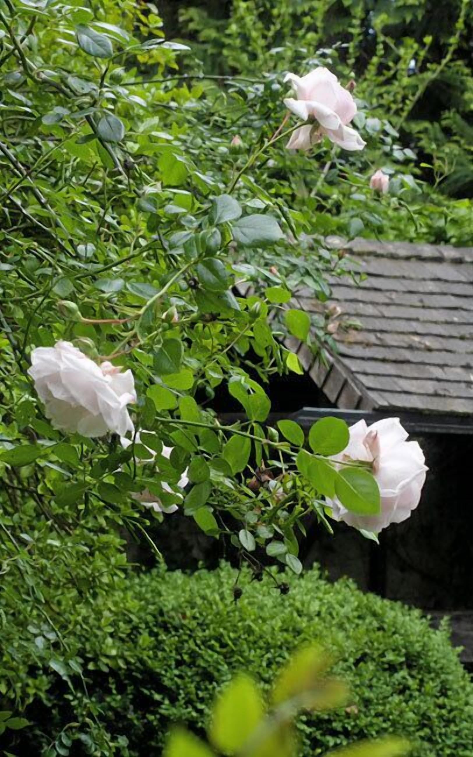 Photo - Alpenstadthotels