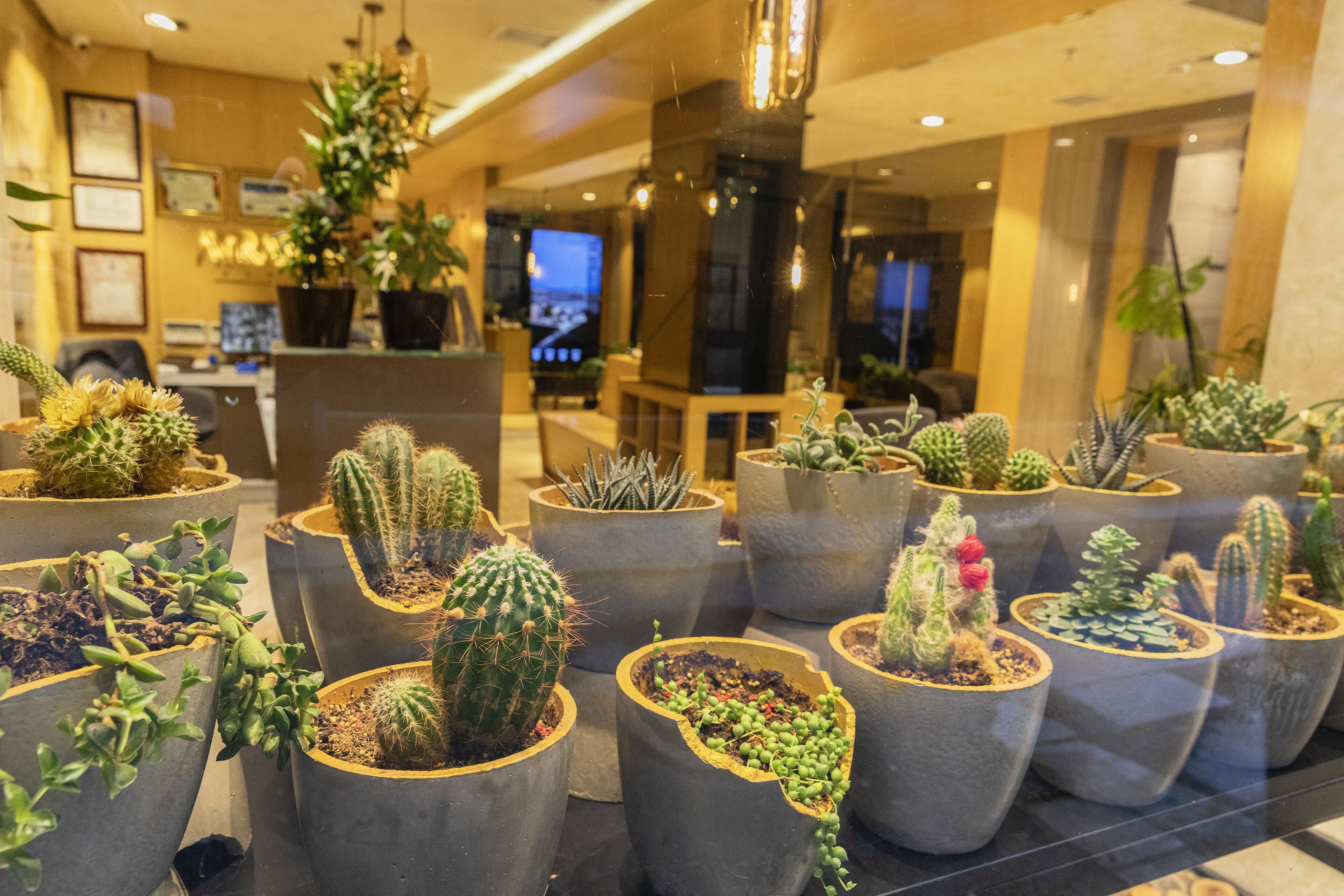 Foto - Ayramin Deluxe Hotel Taksim