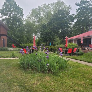 A garden with purple flowers, red chairs, and a red-roofed building. - Bridgetown Motor Inn (Bridgetown)