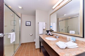 Bathroom shower - Hampton Inn & Suites California University-Pittsburgh (Coal Center)