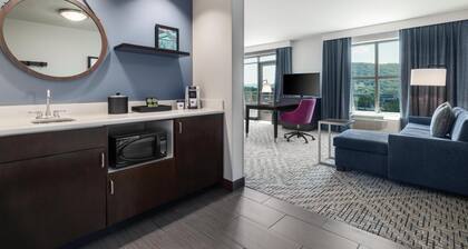 Hampton Inn & Suites Roanoke-Downtown