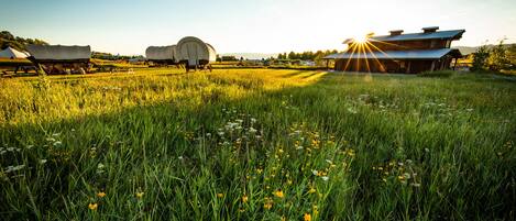 A rustic barn with a large open field in the foreground.