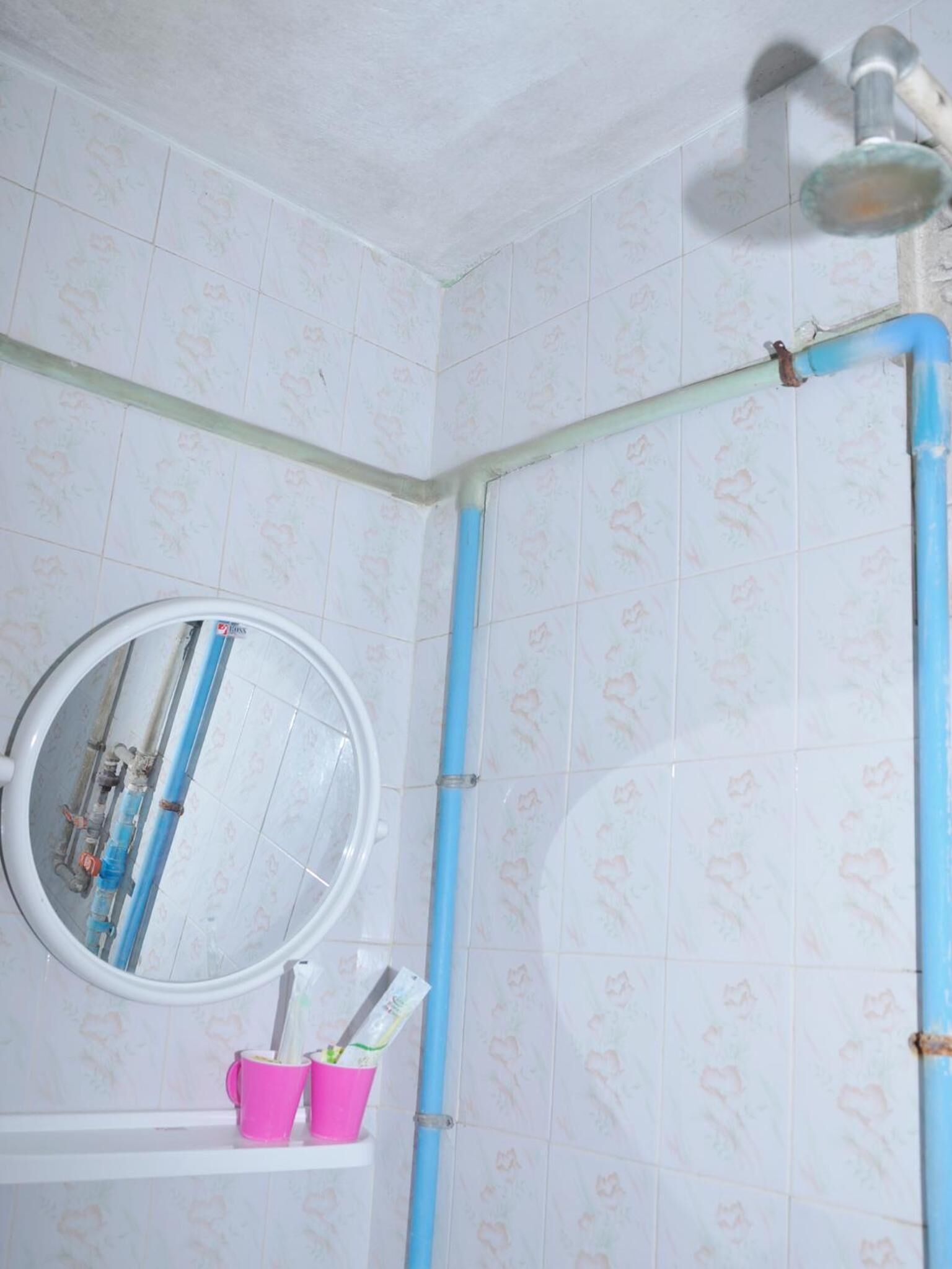 A bathroom with a shower, a mirror, and a toilet.