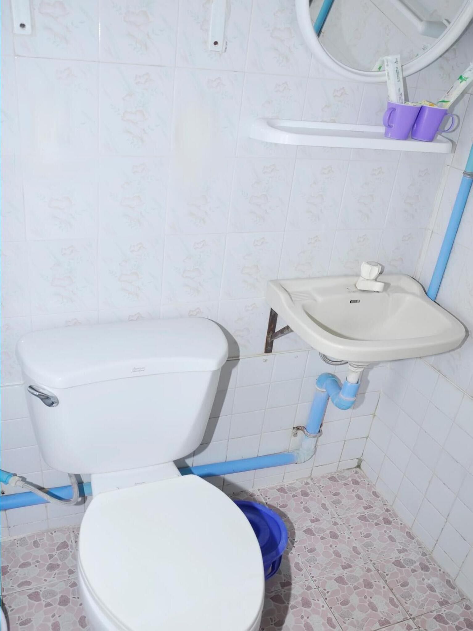 Un baño con inodoro, lavabo y espejo.