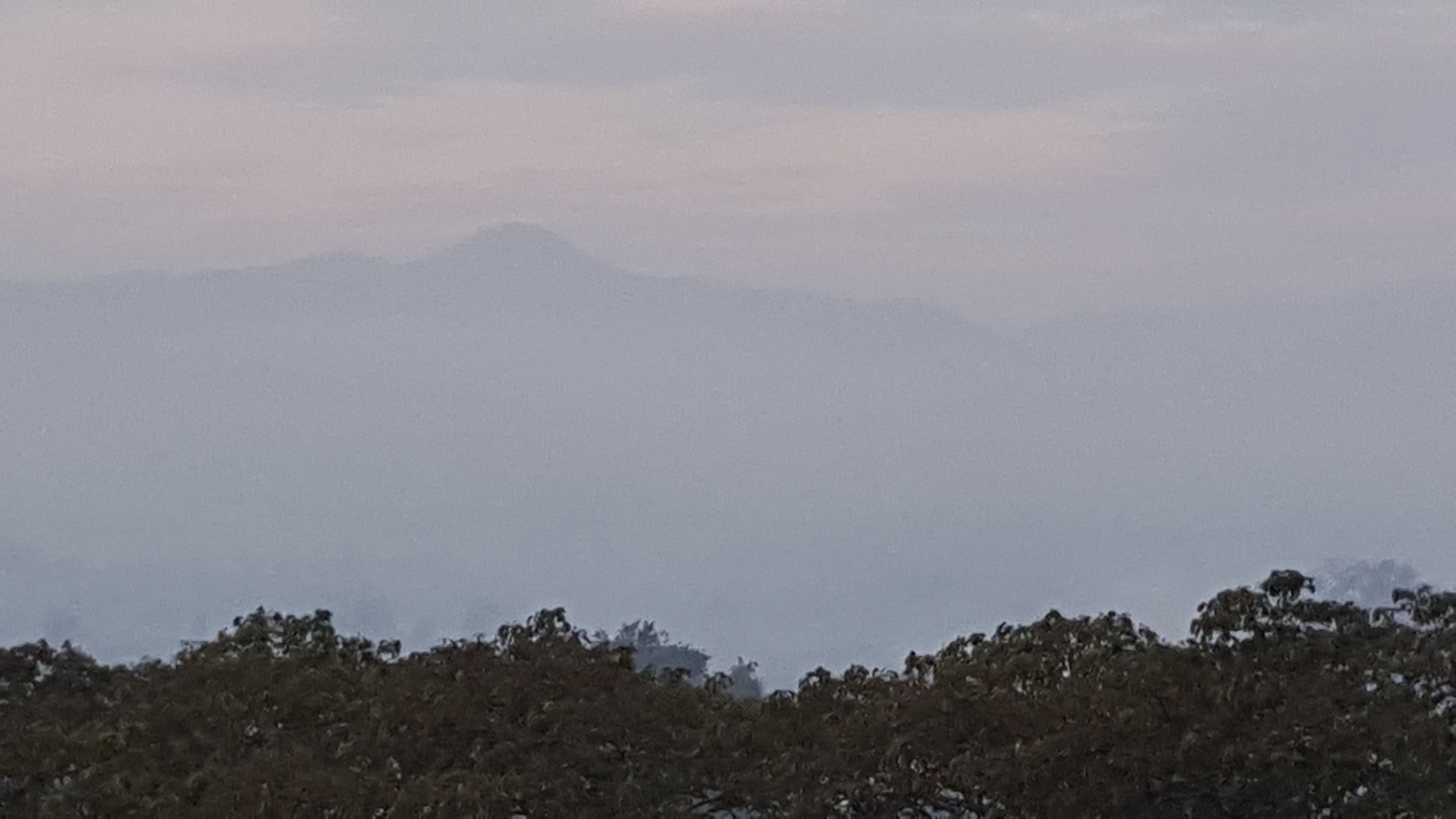 Blick auf ein Gebirge mit bewaldeter Vordergrundszone.
