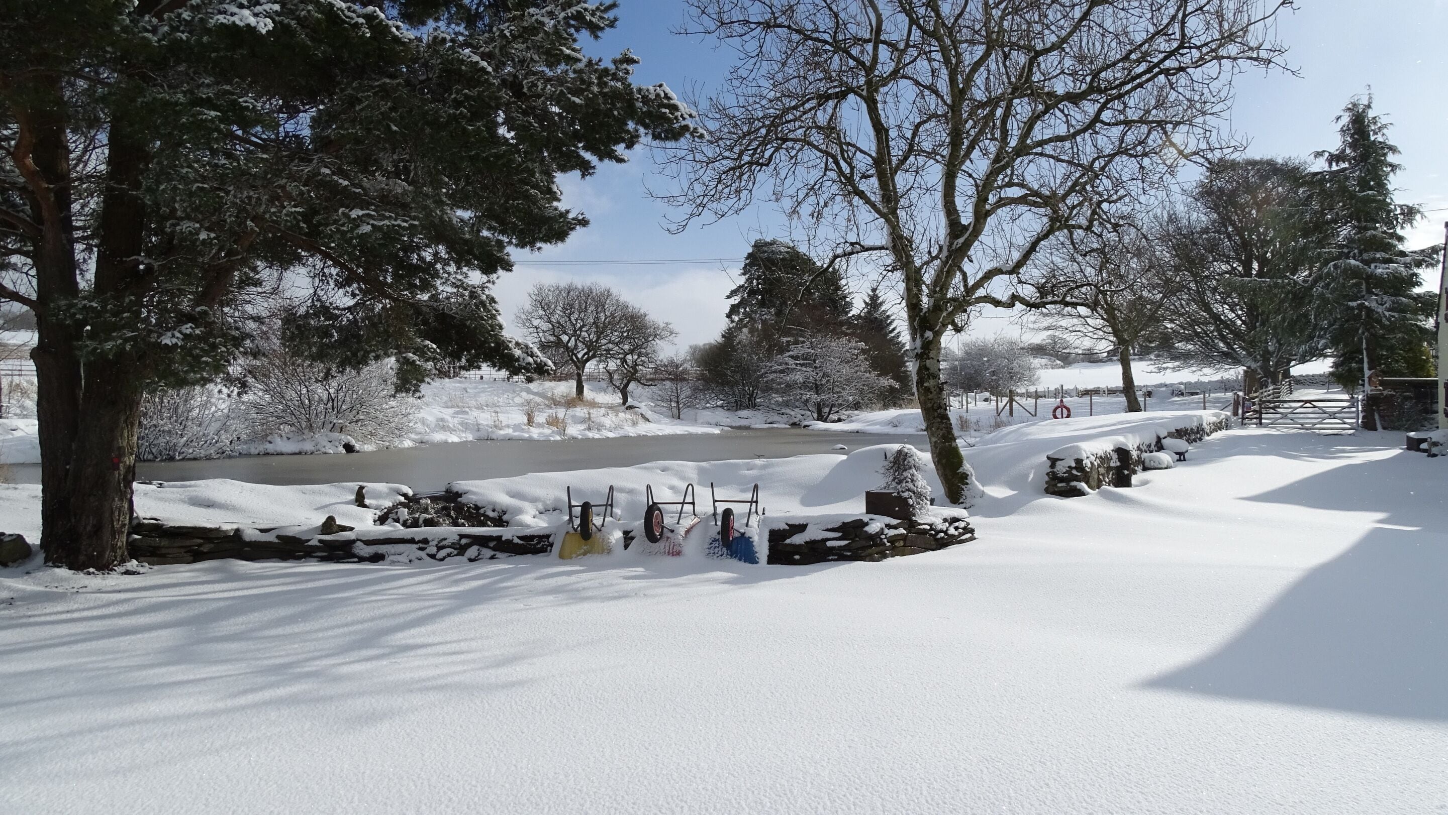 A snow-covered landscape with a paved path, trees, and a wooden gate.