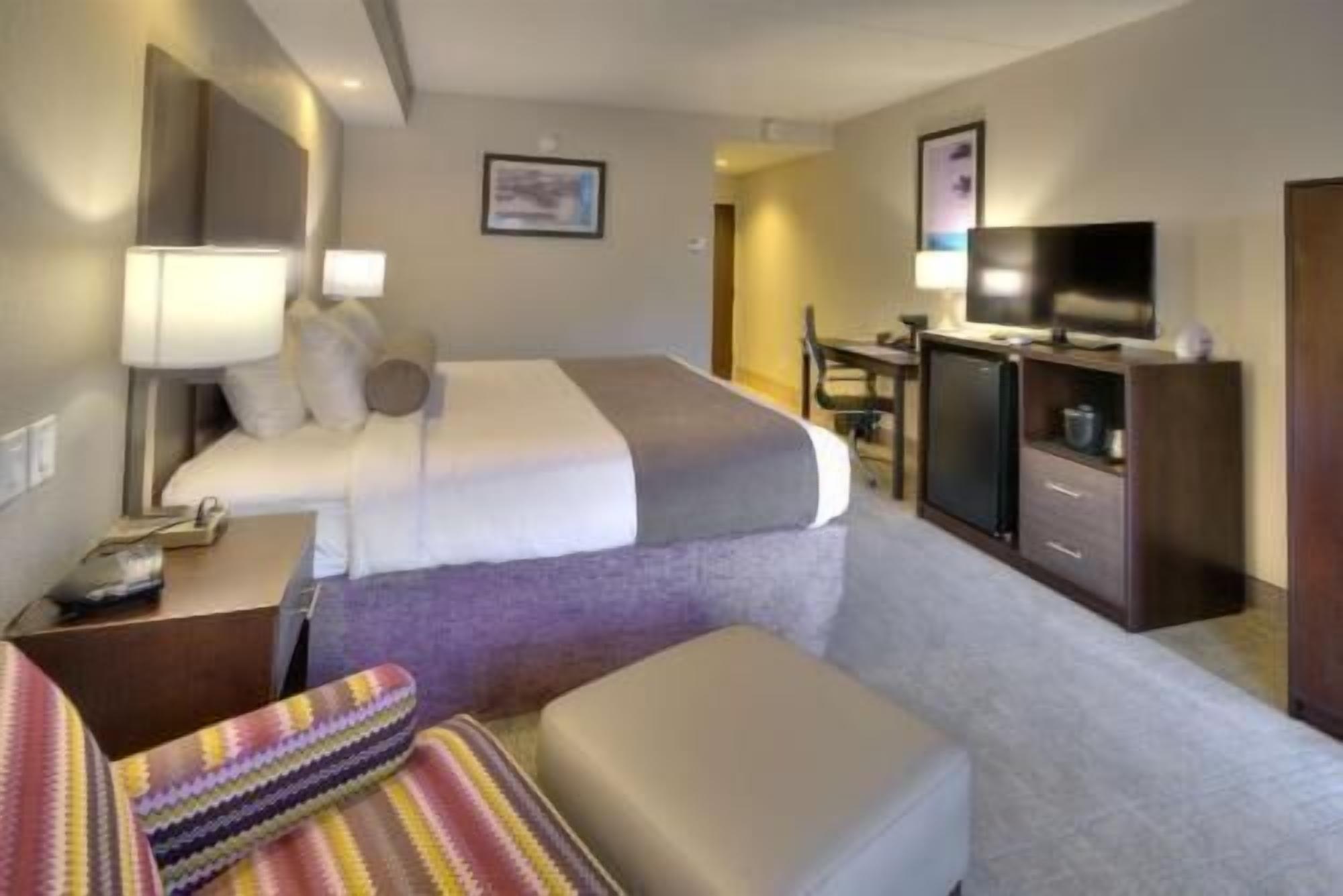 Desk, laptop workspace, WiFi, bed sheets