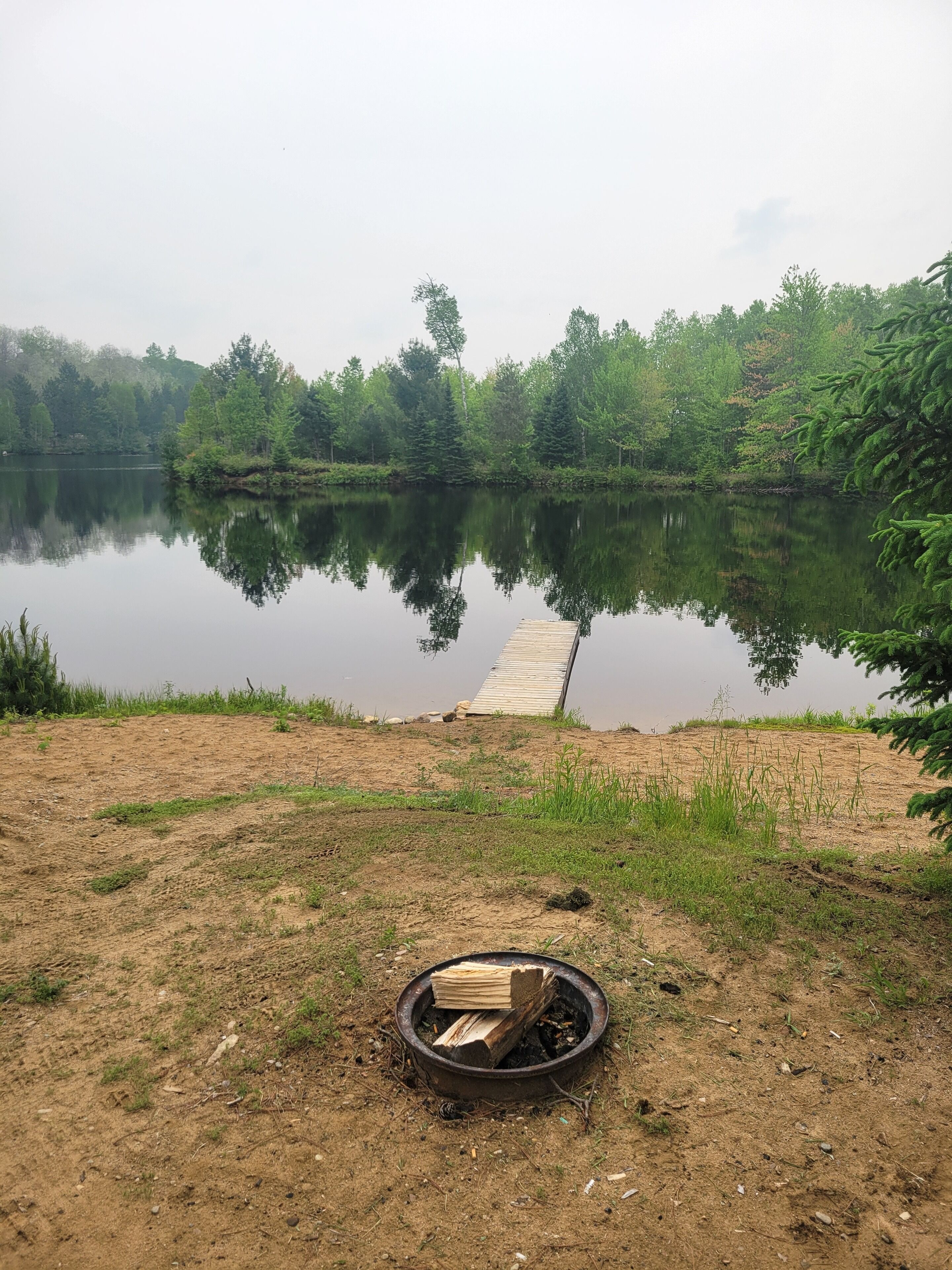 A lakeside scene with a dock extending into the water, surrounded by dense greenery.