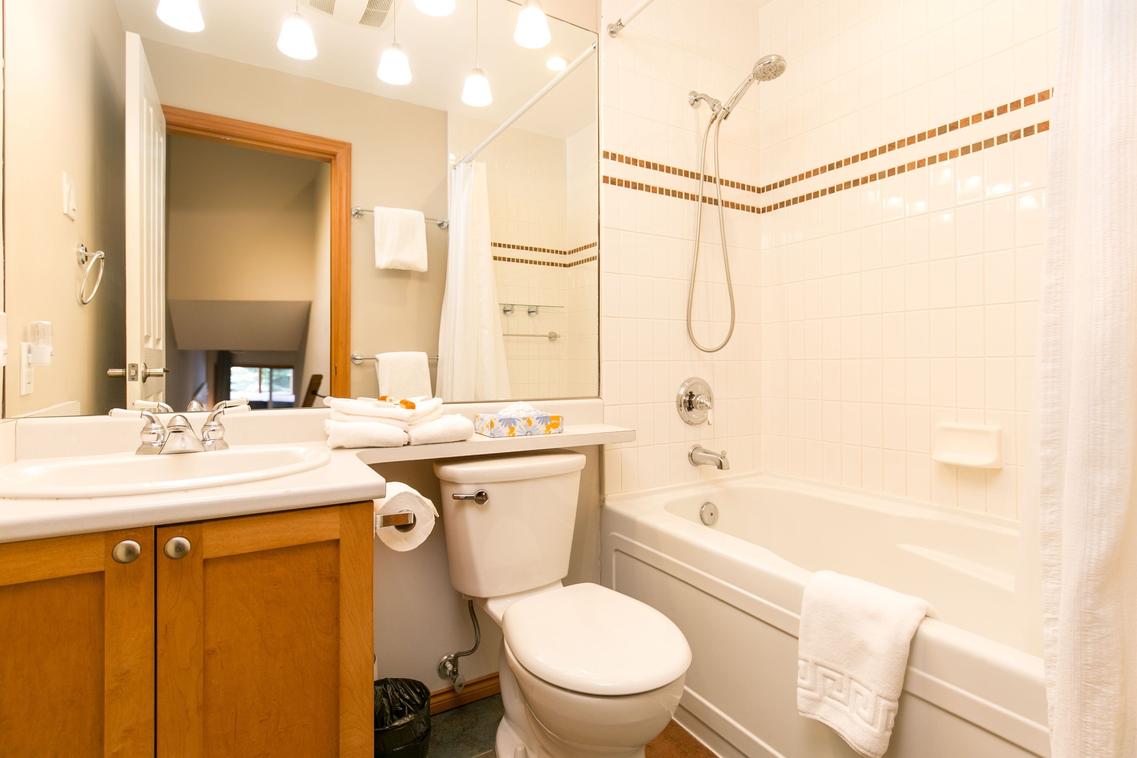 Une salle de bain avec un lavabo, des toilettes et une baignoire.