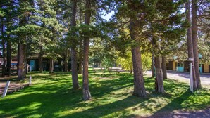 A park with picnic tables and tall trees.