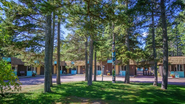 A row of cabins with a grassy lawn and tall trees in the background.