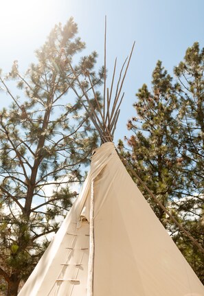 A tipi with a conical shape and a wooden framework, surrounded by pine trees.