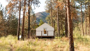 Una cabaña pequeña en un bosque, con una montaña al fondo.