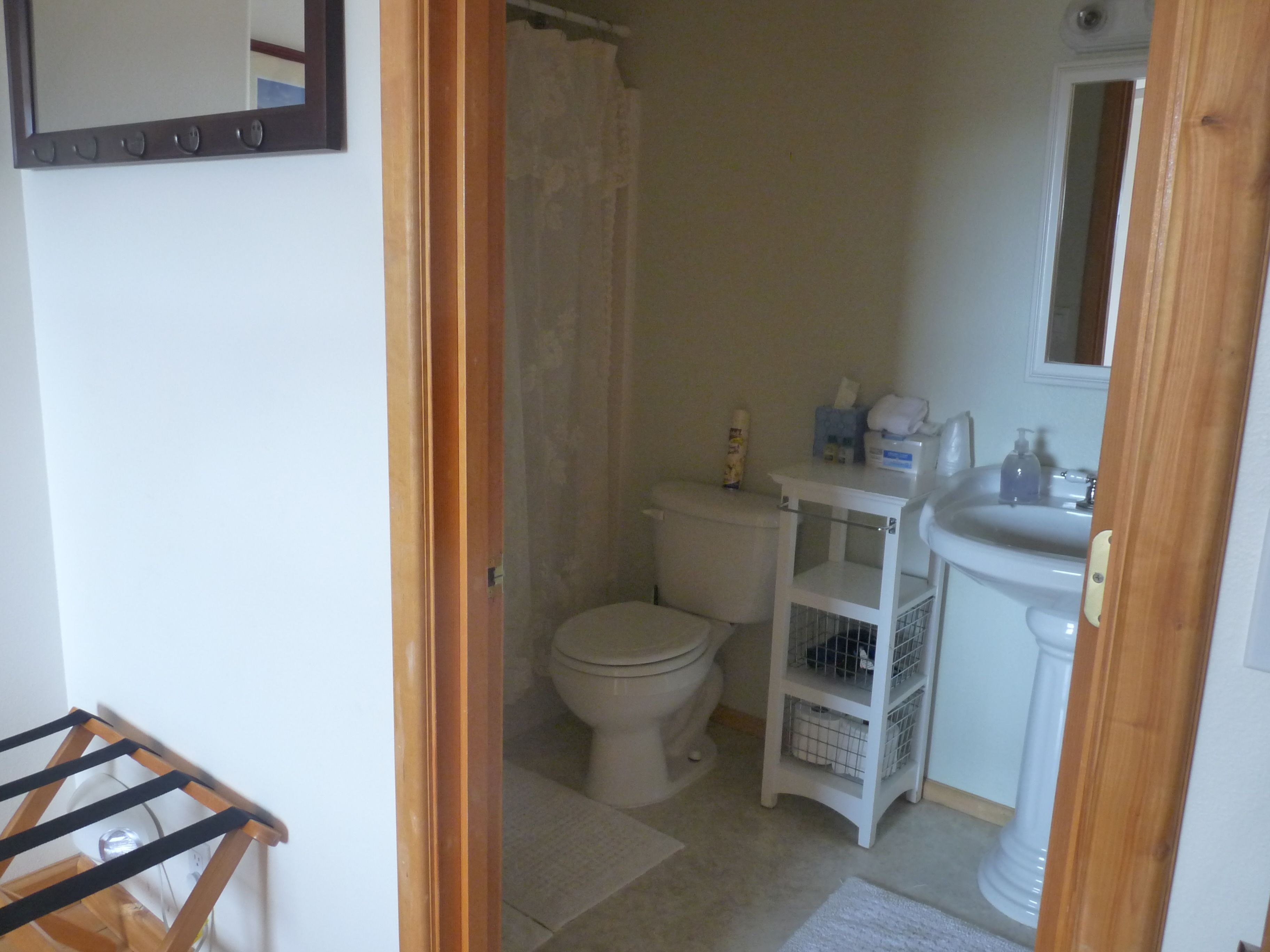 A bathroom with a toilet, a sink, and a shower curtain.
