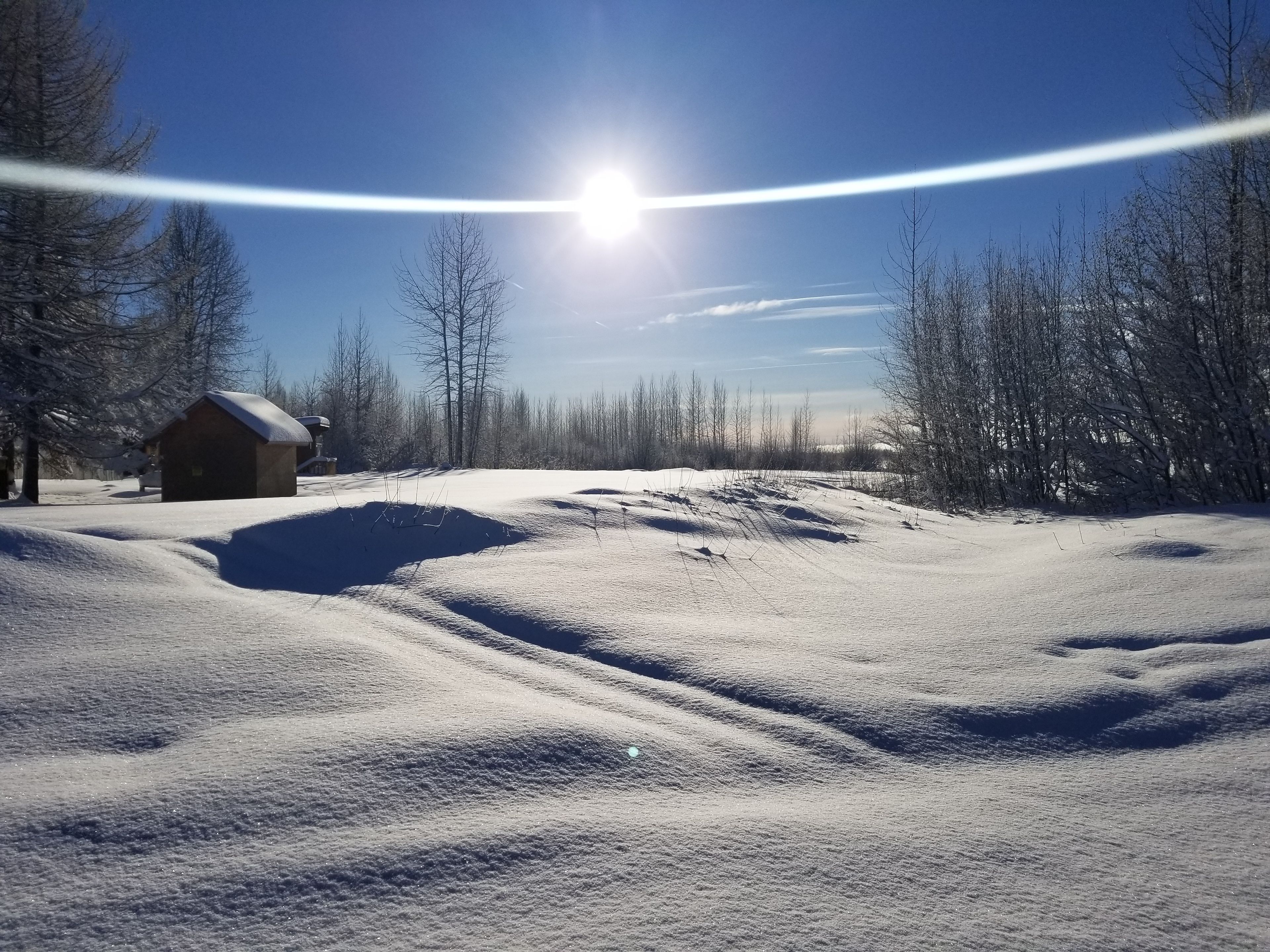 Un paysage enneigé avec une petite cabane en bois et un ciel bleu dégagé.