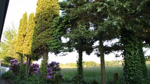 A pathway lined with tall, slender trees and flowering shrubs. - Slukefter Kro (Vojens)