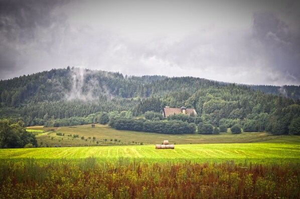 Exterior - Wellness hotel Diana (Velke Losiny)