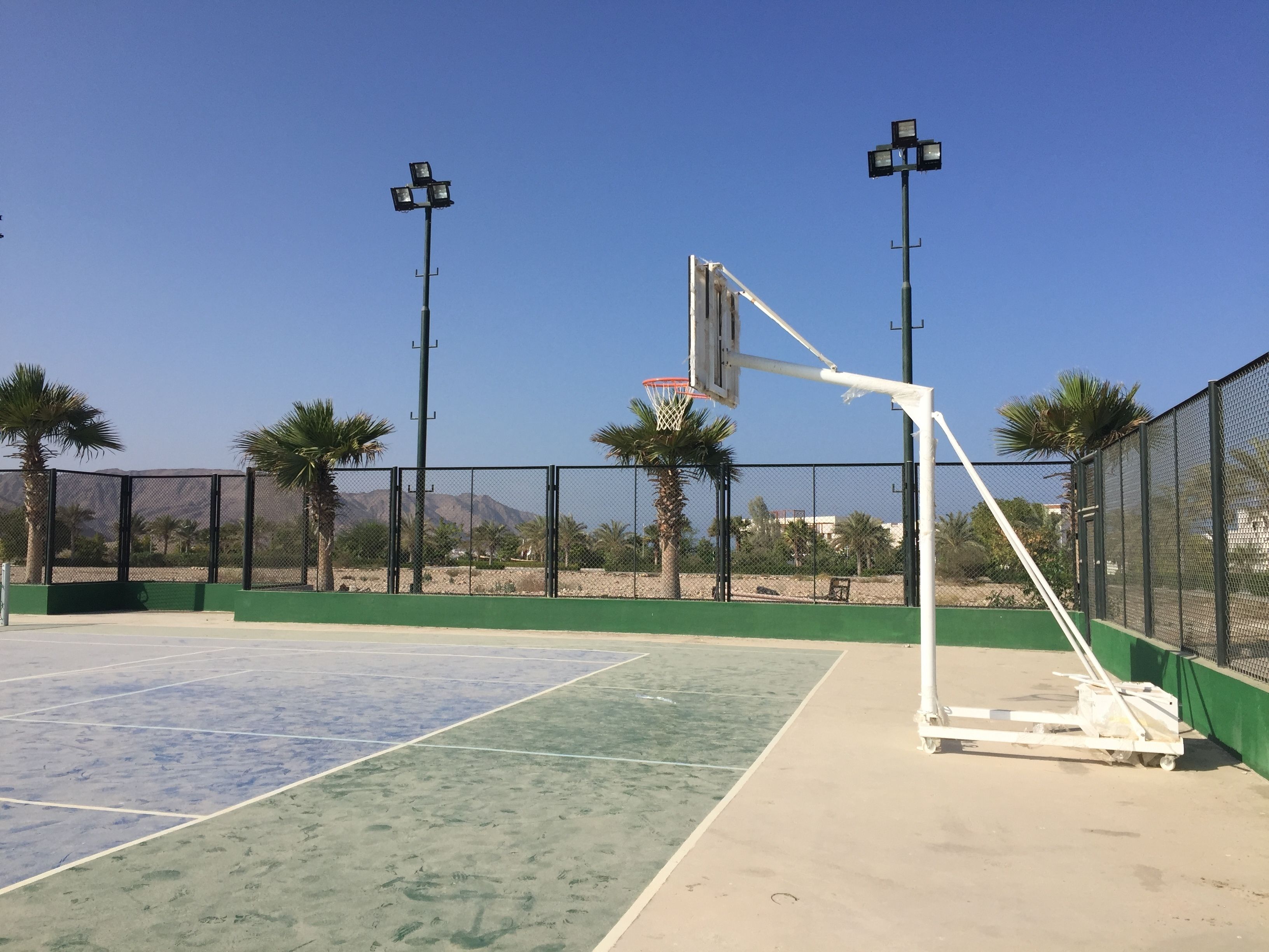 Un terrain de basket en plein air, équipé d’un panier, de deux poteaux d’éclairage et de palmiers.