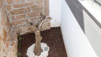 Un bonsai in un angolo con un muro di pietra e una finestra.
