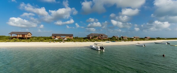 On the beach, white sand - Barbuda Belle (Codrington)
