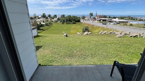 Superior Room, 1 King Bed | Terrace/patio - Mon Joli Motel (Sainte-Flavie)