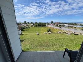 Superior Room, 1 King Bed | Terrace/patio