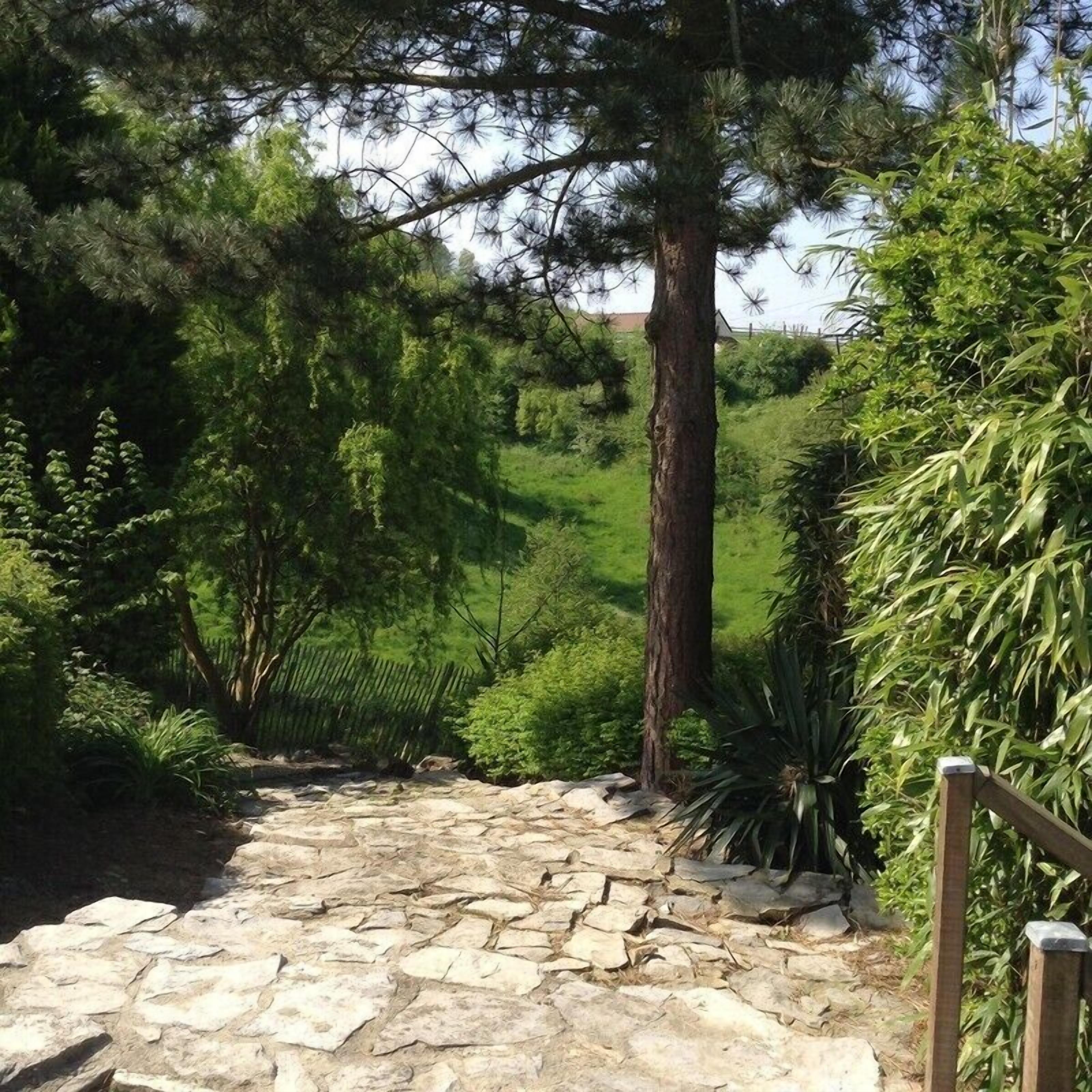 Un chemin de pierres serpente à travers un jardin luxuriant, où l’on trouve une variété d’arbres et de plantes.