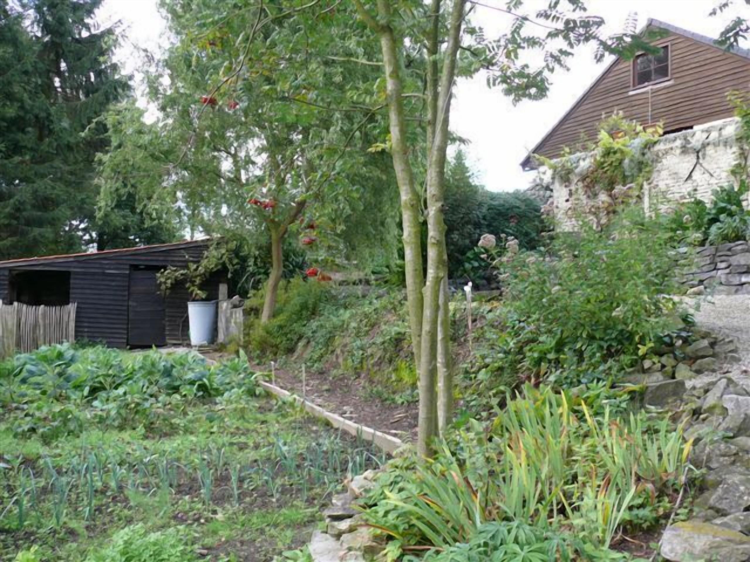 Ein Garten mit unterschiedlichen Pflanzen und einer kleinen Gartenhütte.