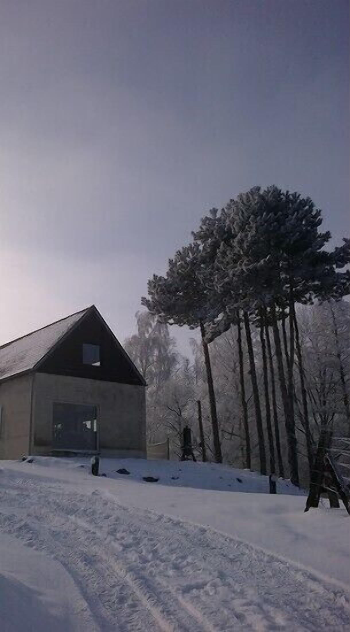 Een besneeuwd landschap met een laag gebouw, een heldere lucht en een bos op de achtergrond.