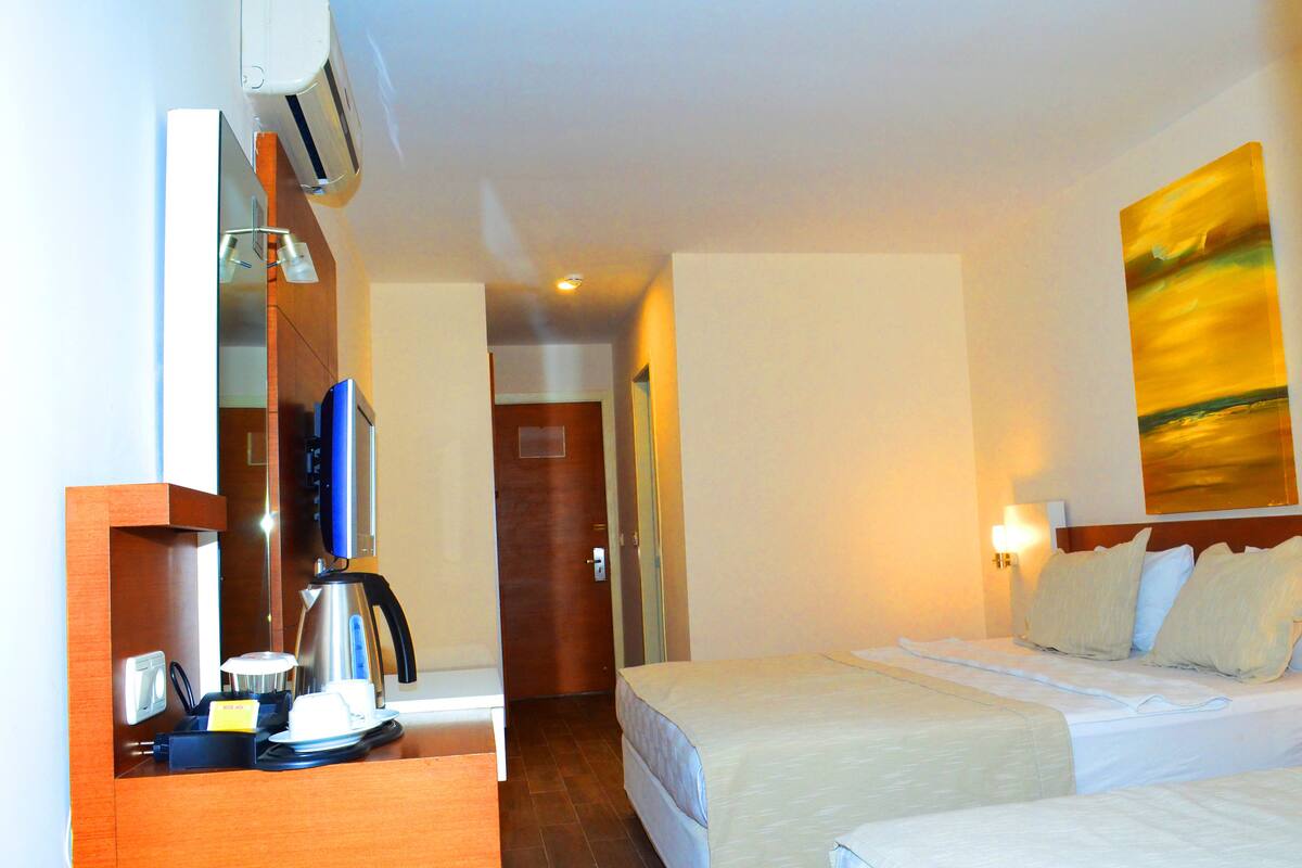 Habitación de hotel con cama, escritorio con cafetera, televisor y un cuadro en la pared.