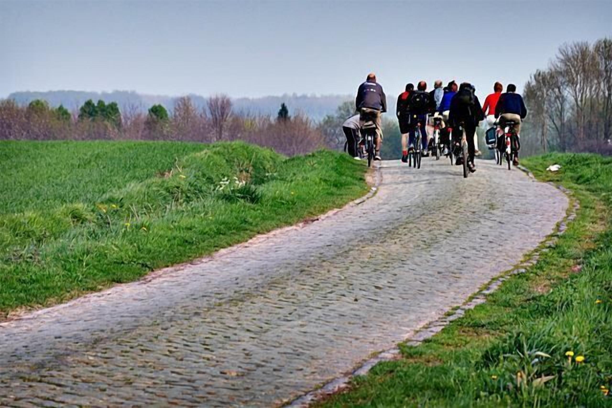 Un grupo de ciclistas en un camino adoquinado rodeado de vegetación.