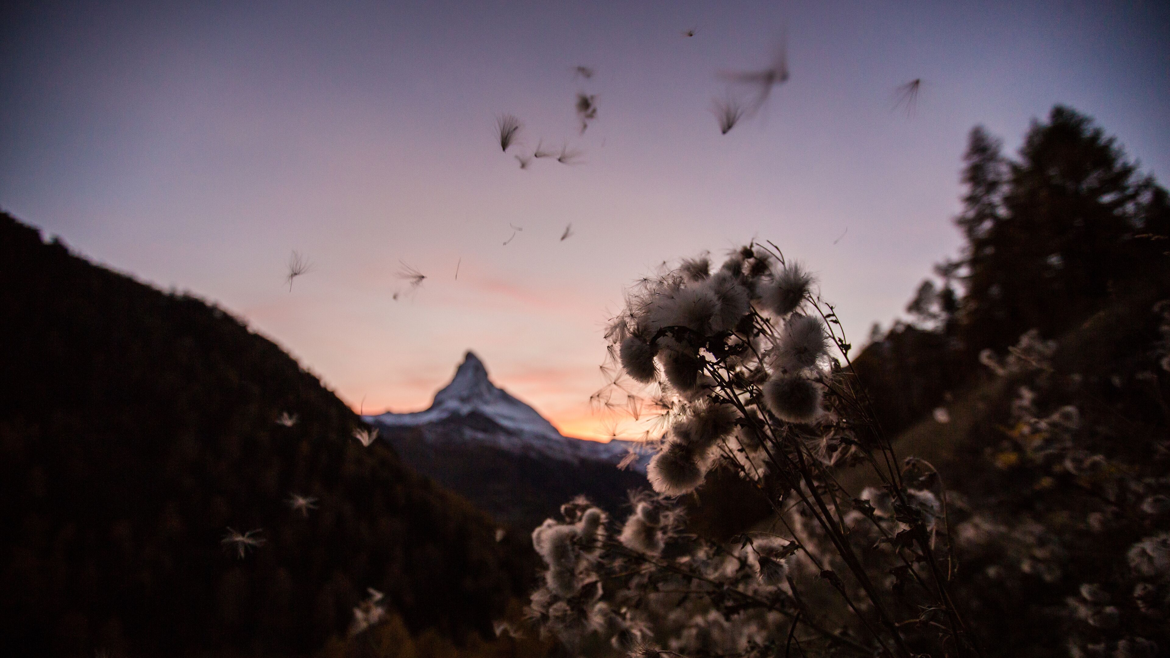 land view from property