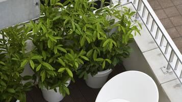 Teres/patio
