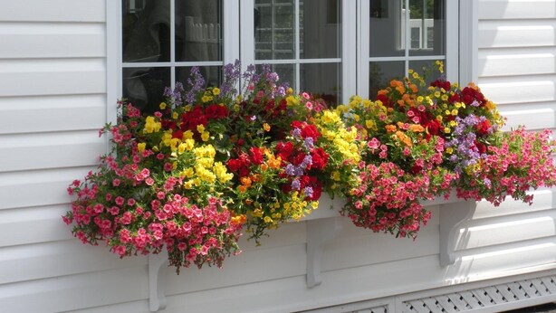 Una jardinera con una variedad de flores coloridas.