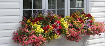 Cote's Bed & Breakfast Inn